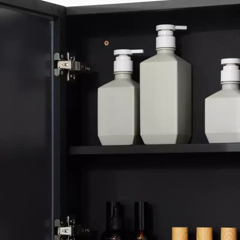 Meuble Miroir Mural Double Porte Noir – 2 Personnes, 2 Étagères